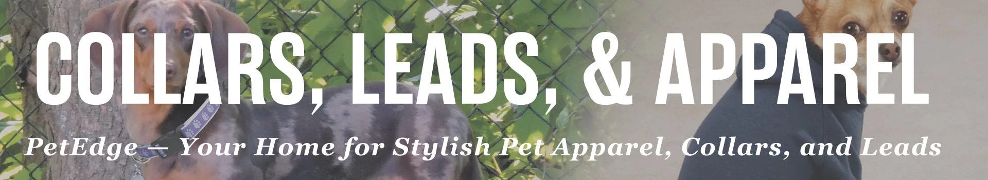 Collars, Leads, & Pet Apparel