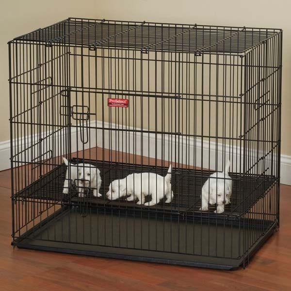 Dog Playpens