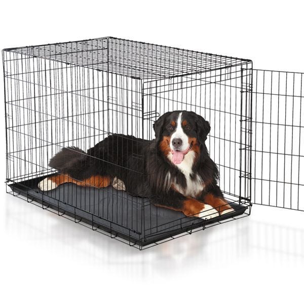 Dog Crates